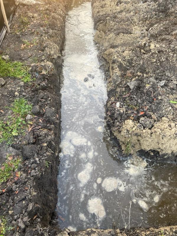 WhatsApp Image 2024-09-24 at 9.04.07 PM (1)