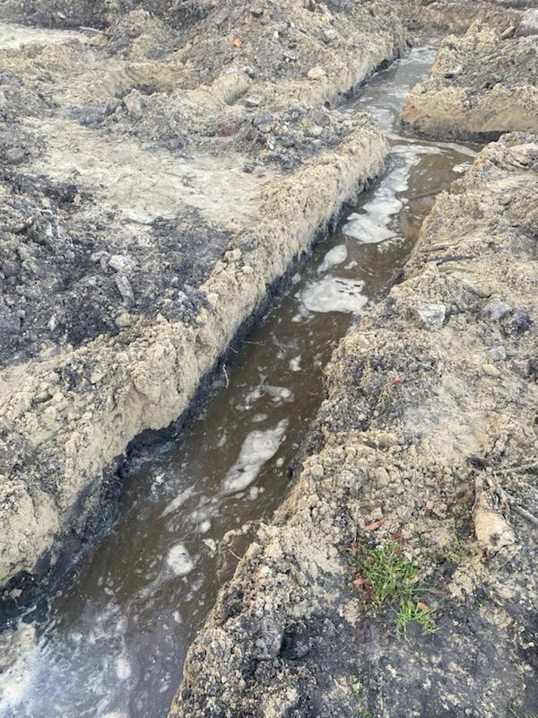 WhatsApp Image 2024-09-24 at 9.04.07 PM